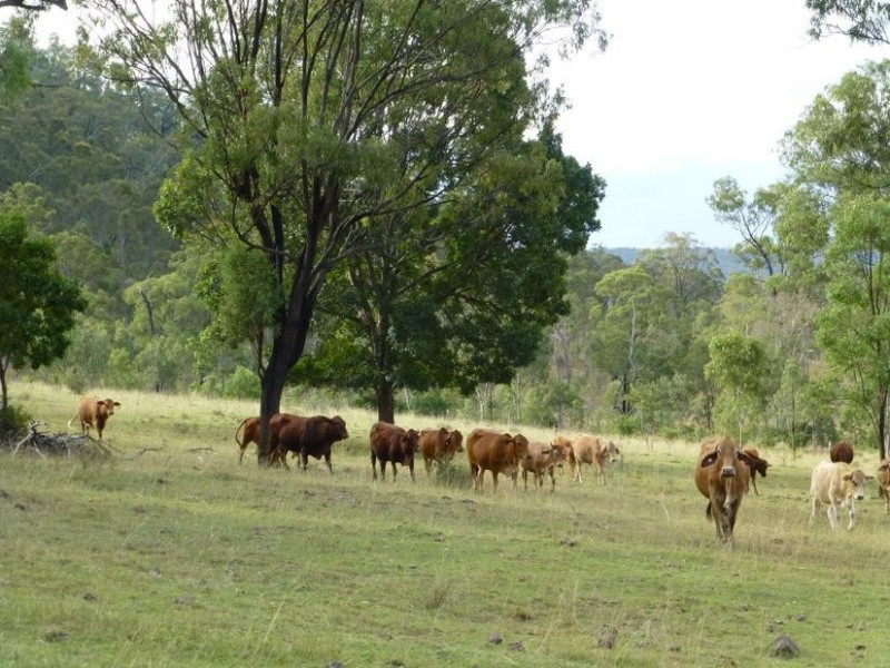 Biggenden QLD 4621