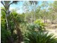 264 RAINBOWS ROAD, South Isis QLD 4660