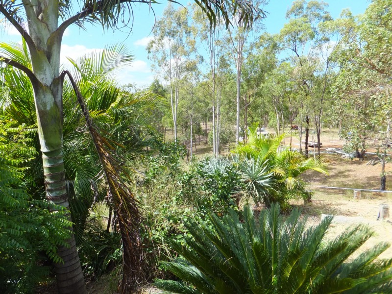 264 RAINBOWS ROAD, South Isis QLD 4660