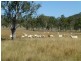 DEGILBO MINES ROAD, Biggenden QLD 4621