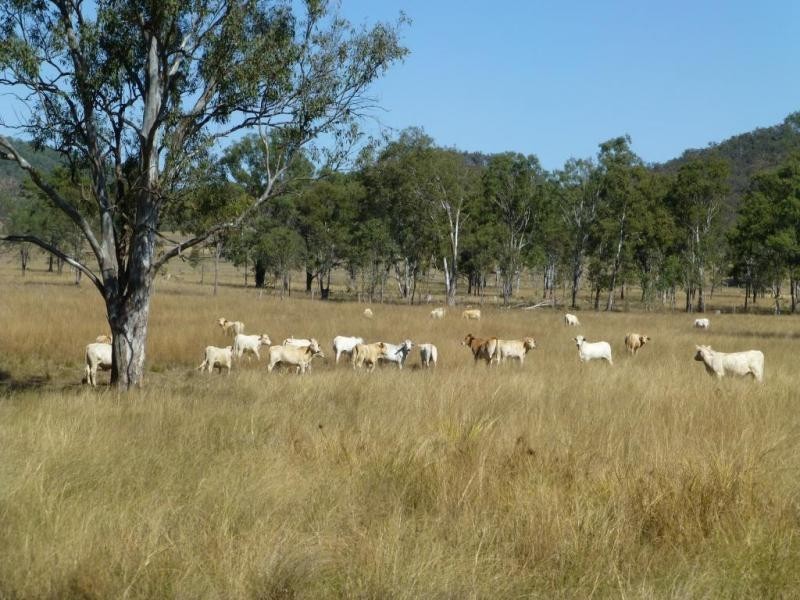 DEGILBO MINES ROAD, Biggenden QLD 4621