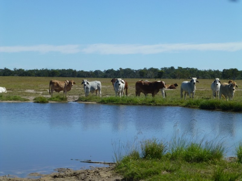 Lot 3, WOODGATE ROAD, Woodgate QLD 4660