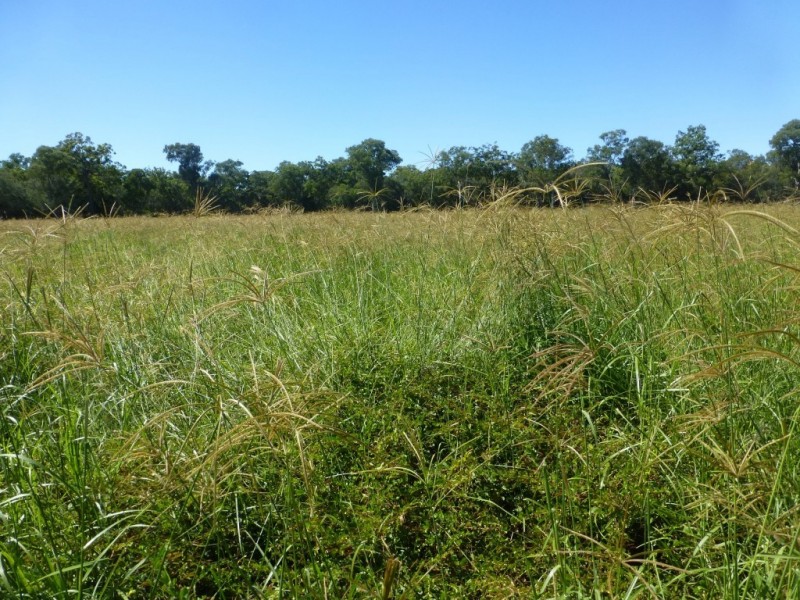 Lot 3, WOODGATE ROAD, Woodgate QLD 4660