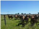 Lot 3, WOODGATE ROAD, Woodgate QLD 4660