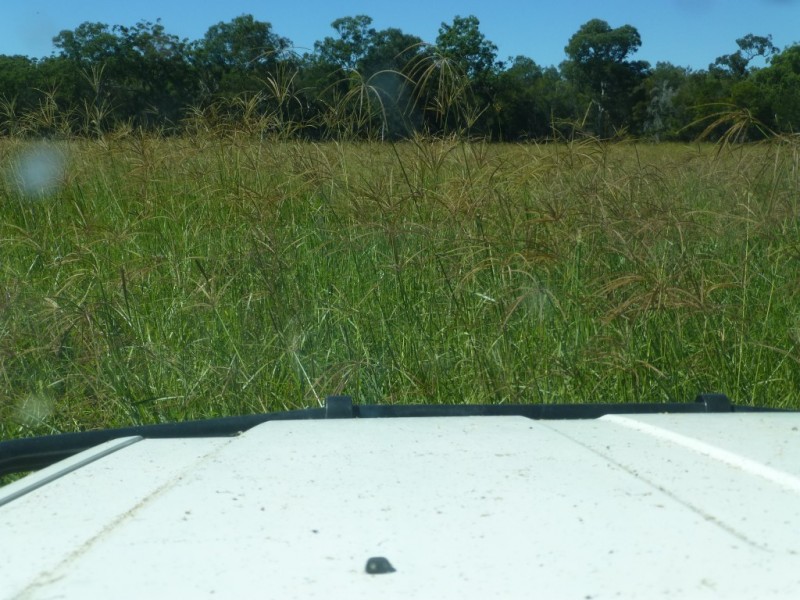 Lot 3, WOODGATE ROAD, Woodgate QLD 4660