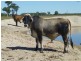 Lot 3, WOODGATE ROAD, Woodgate QLD 4660