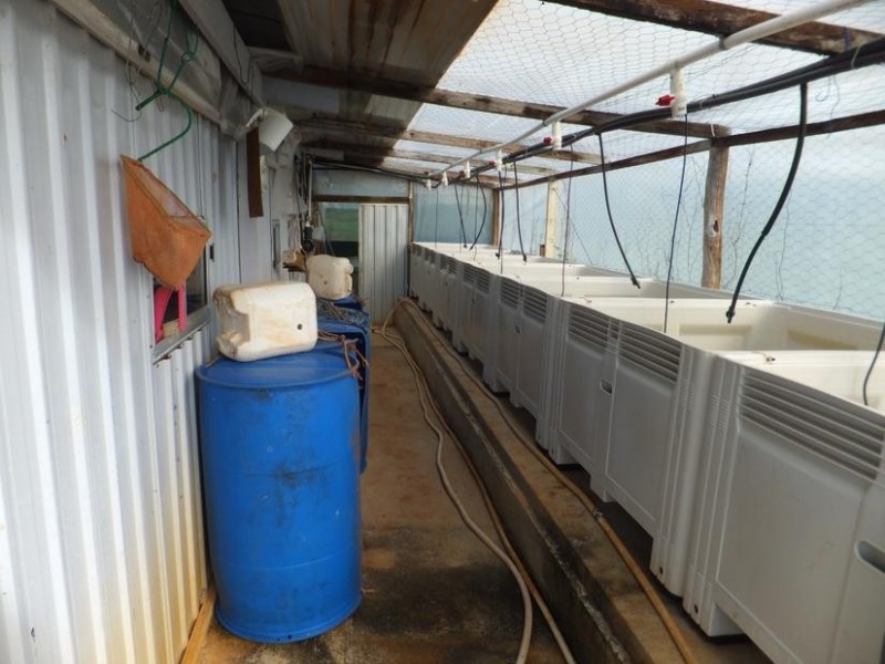 26 Wechsels Road, Childers QLD 4660