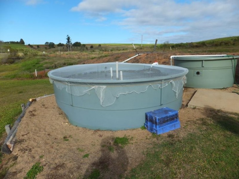 26 Wechsels Road, Childers QLD 4660