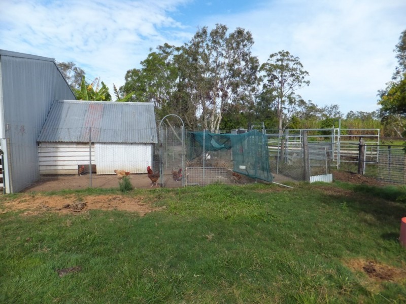 1355 BUXTON ROAD, Buxton QLD 4660