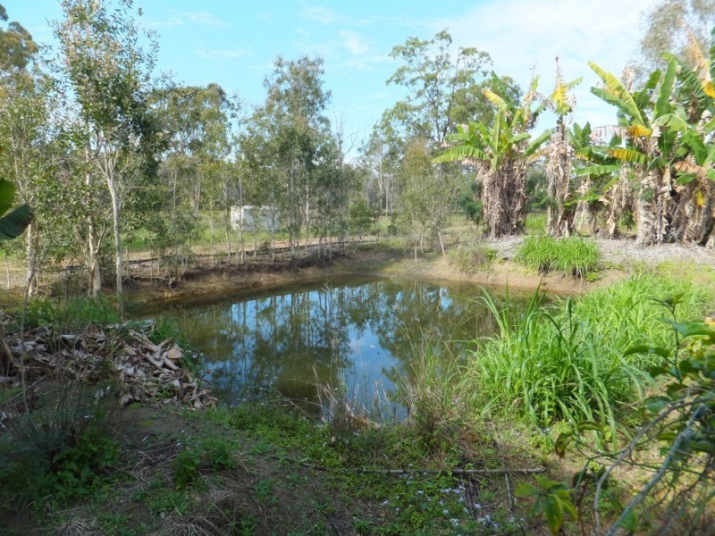 1355 BUXTON ROAD, Buxton QLD 4660