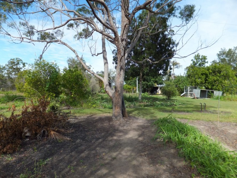 1355 BUXTON ROAD, Buxton QLD 4660