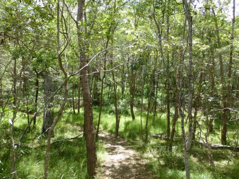 149 BLACKS ROAD, Isis River QLD 4660