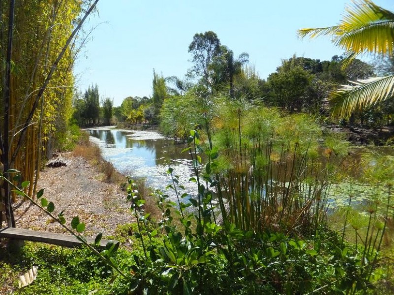 106 GELSOMINOS ROAD, South Isis QLD 4660