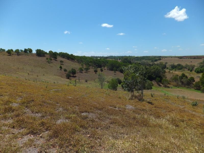 20 SANCTUARY COURT, Apple Tree Creek QLD 4660