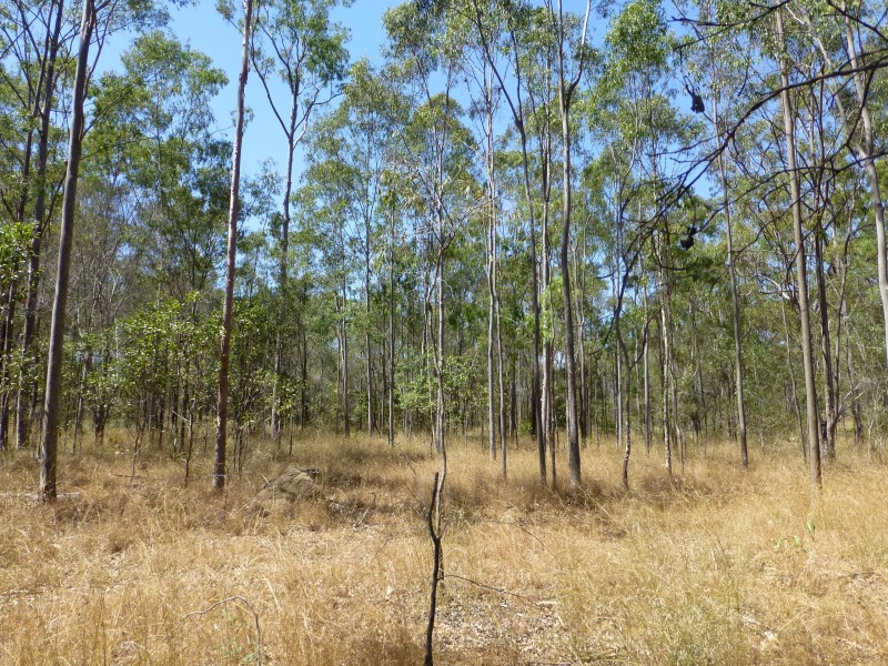 Lot 11,  MT WOOWOONGA ROAD, Woowoonga QLD 4621