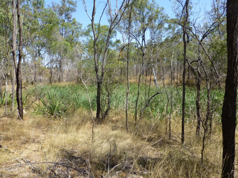 Lot 11,  MT WOOWOONGA ROAD, Woowoonga QLD 4621