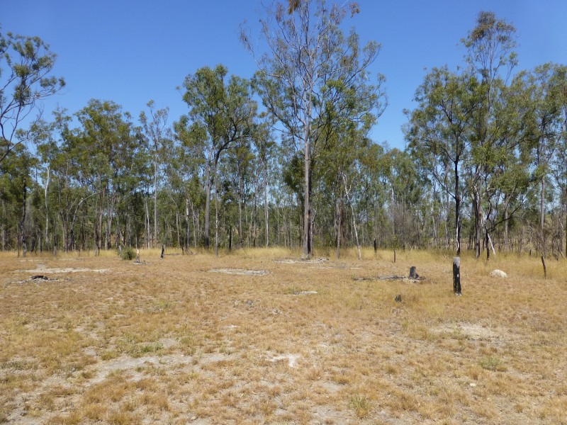 Lot 11,  MT WOOWOONGA ROAD, Woowoonga QLD 4621