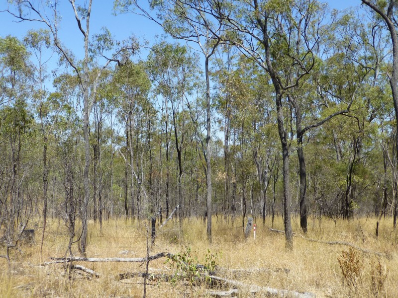 Lot 11,  MT WOOWOONGA ROAD, Woowoonga QLD 4621