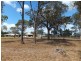 10 BURRUM STREET, Buxton QLD 4660