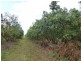 93 THIELES ROAD, Alloway QLD 4670