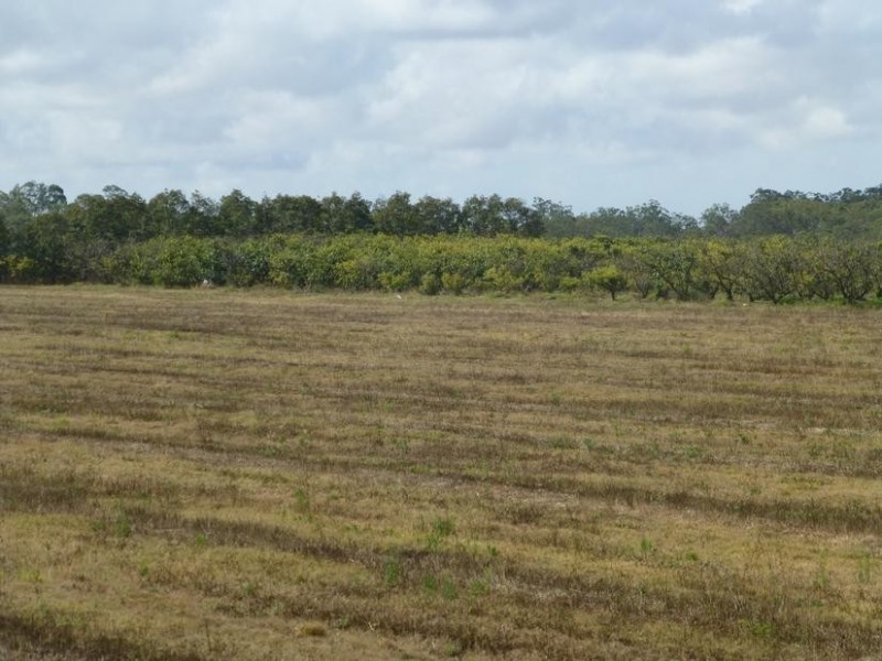 93 THIELES ROAD, Alloway QLD 4670