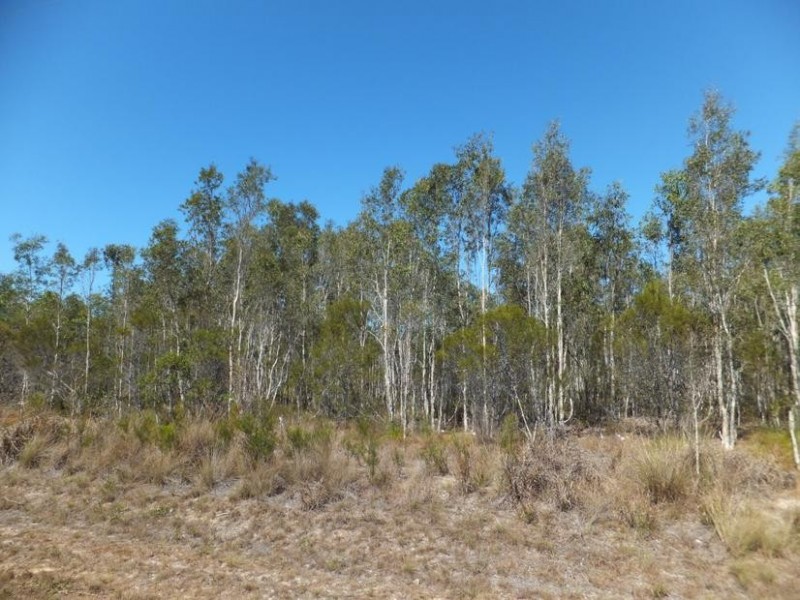 20 PIONEER ROAD, Buxton QLD 4660