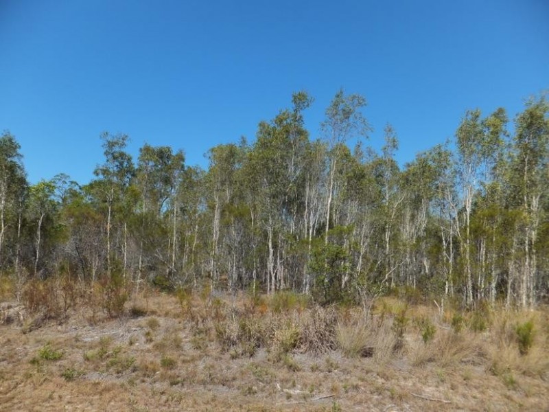20 PIONEER ROAD, Buxton QLD 4660