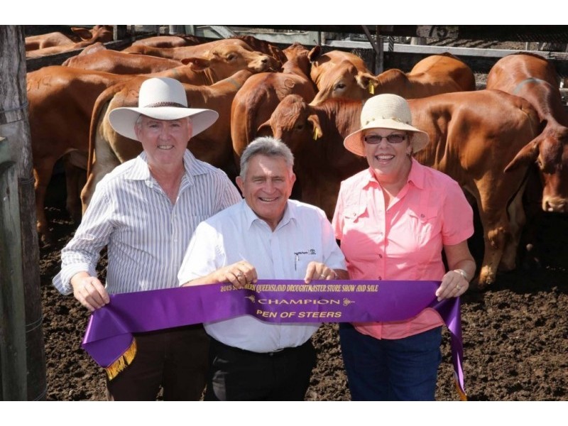 104 KINGS ROAD, Apple Tree Creek QLD 4660