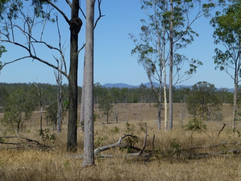 104 KINGS ROAD, Apple Tree Creek QLD 4660