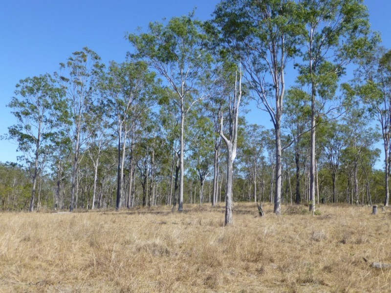 104 KINGS ROAD, Apple Tree Creek QLD 4660