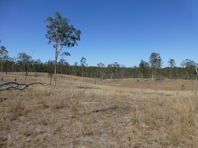 104 KINGS ROAD, Apple Tree Creek QLD 4660