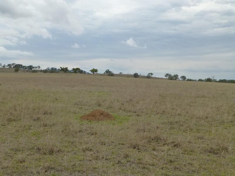 Biggenden QLD 4621