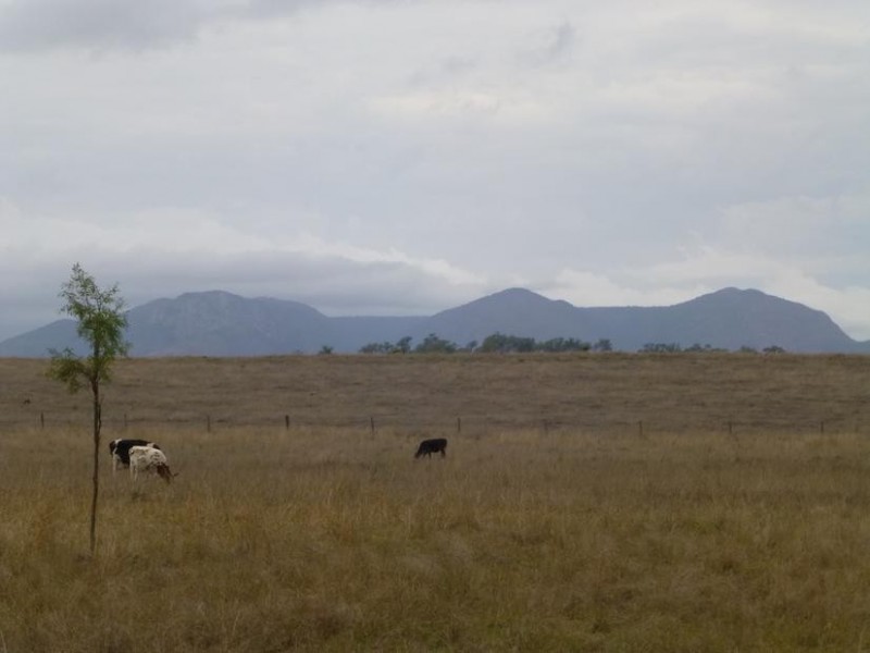 Biggenden QLD 4621