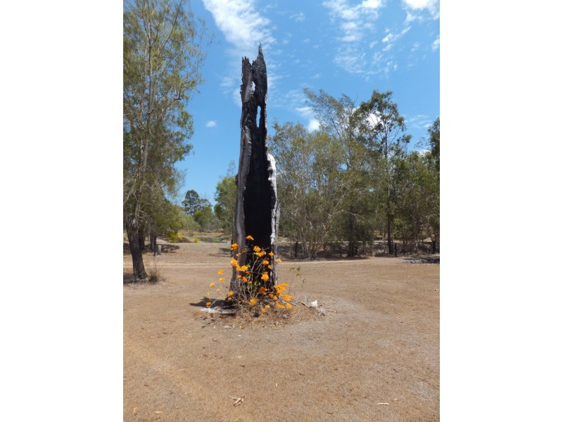 1422 BUXTON ROAD, Buxton QLD 4660