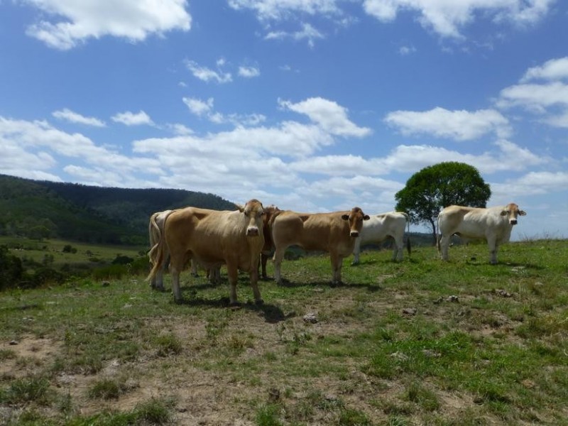 173 RED HILL ROAD, Biggenden QLD 4621