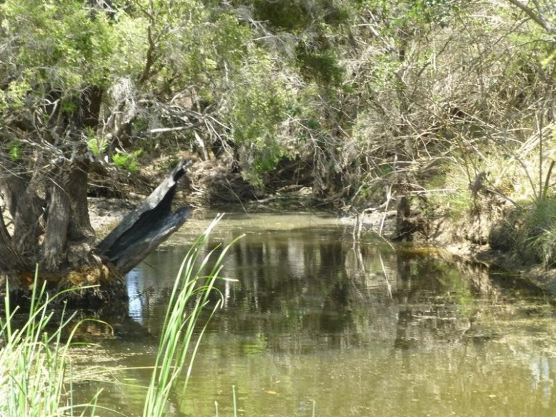 173 RED HILL ROAD, Biggenden QLD 4621