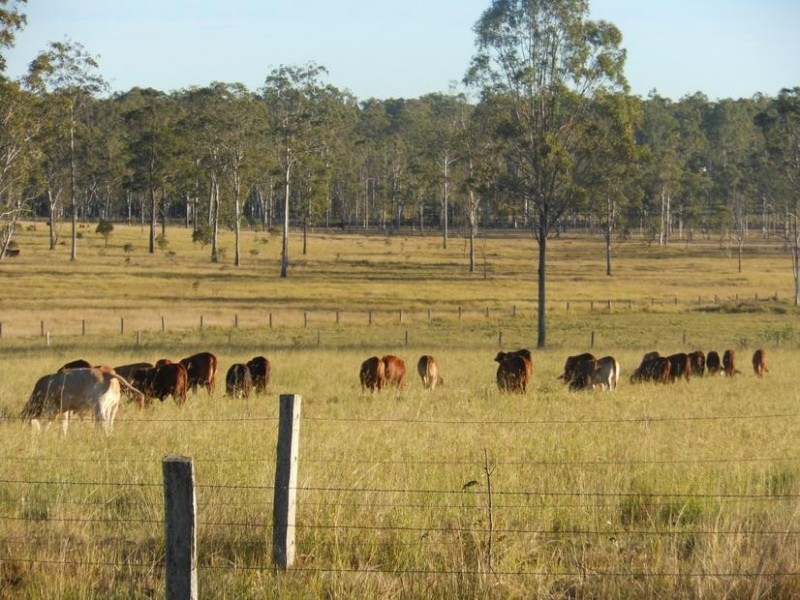 Maryborough QLD 4650