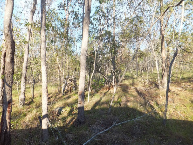 ISIS HIGHWAY, Kullogum QLD 4660