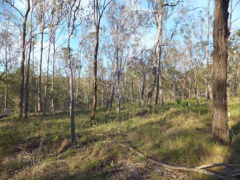 ISIS HIGHWAY, Kullogum QLD 4660