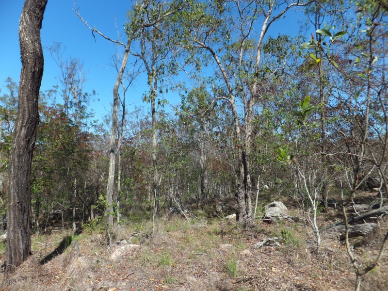 ISIS HIGHWAY, Kullogum QLD 4660