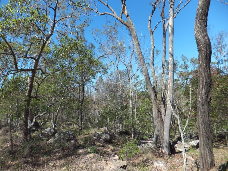 ISIS HIGHWAY, Kullogum QLD 4660