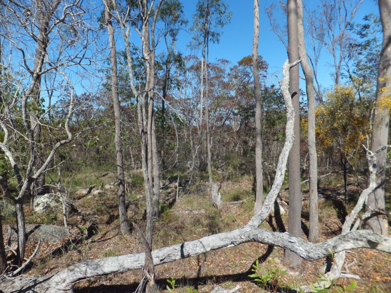 ISIS HIGHWAY, Kullogum QLD 4660