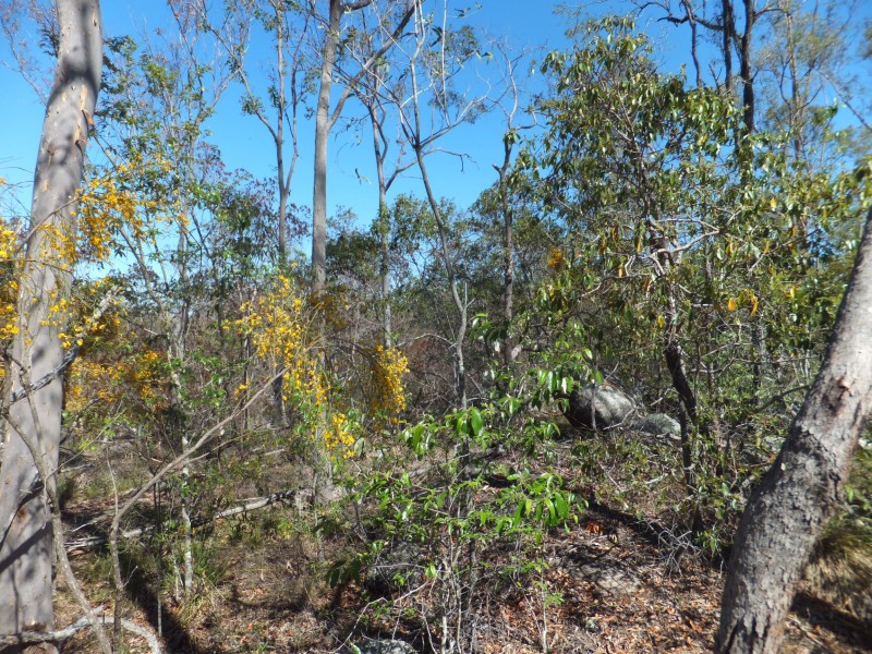 ISIS HIGHWAY, Kullogum QLD 4660