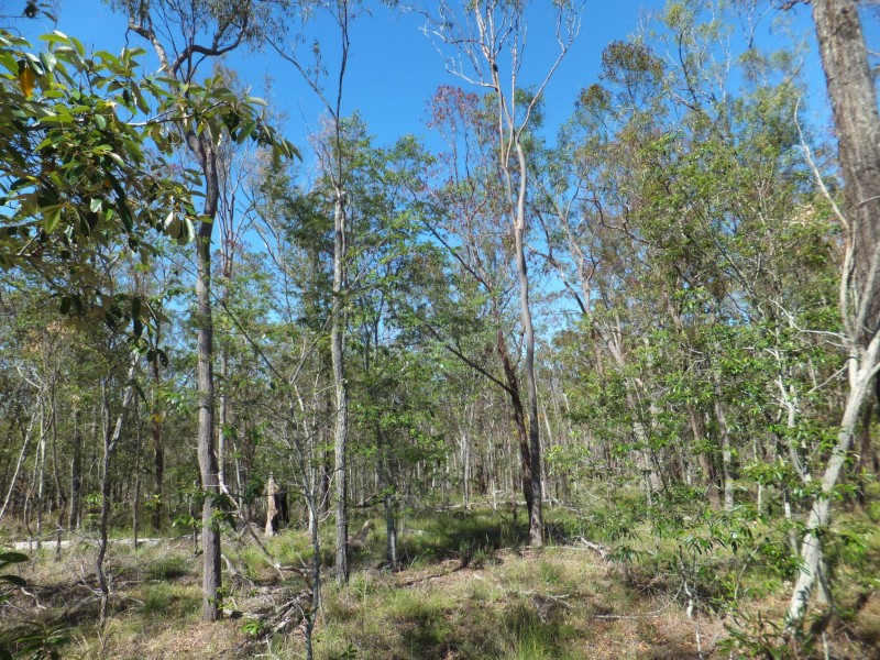 ISIS HIGHWAY, Kullogum QLD 4660