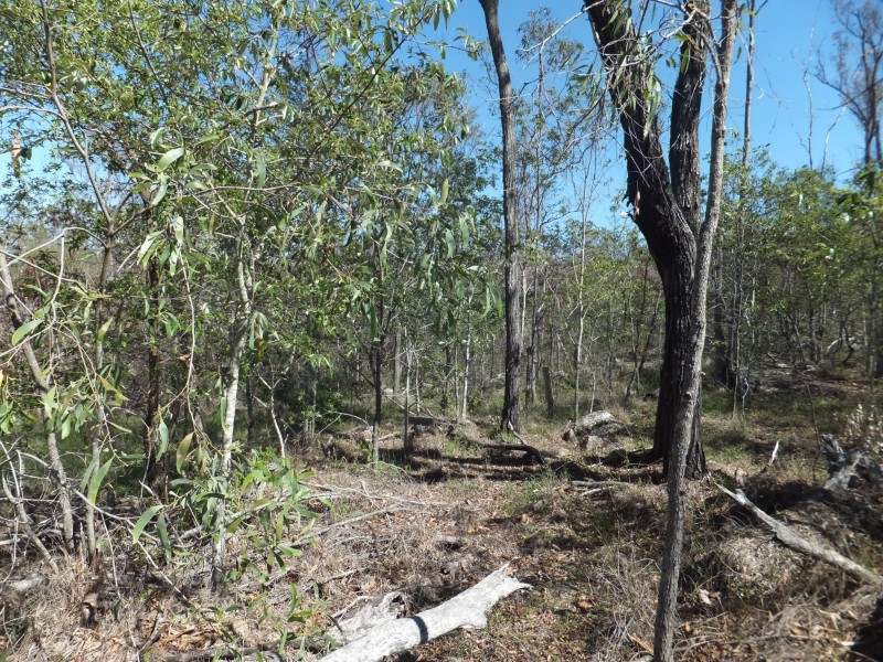 ISIS HIGHWAY, Kullogum QLD 4660