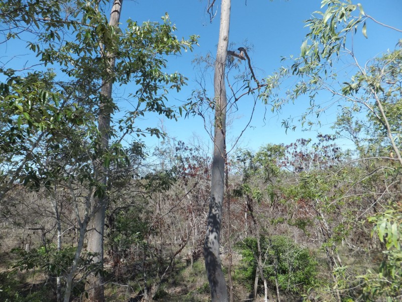 ISIS HIGHWAY, Kullogum QLD 4660