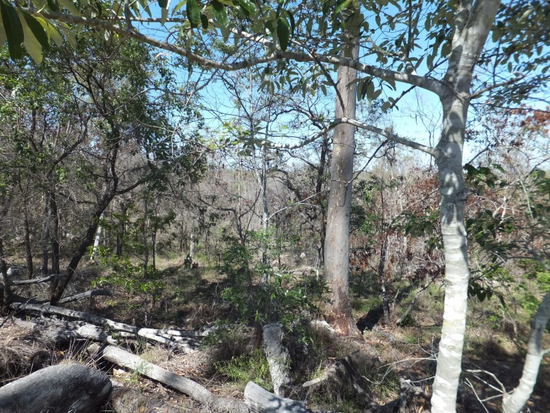 ISIS HIGHWAY, Kullogum QLD 4660