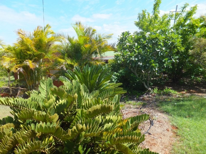 125 RAINBOWS ROAD, South Isis QLD 4660