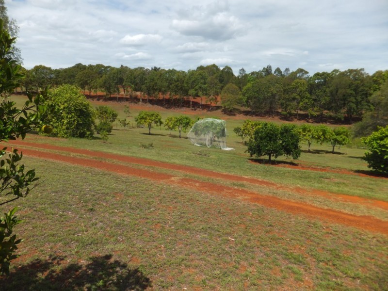 125 RAINBOWS ROAD, South Isis QLD 4660