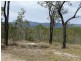 553 BERRIES ROAD, Kullogum QLD 4660